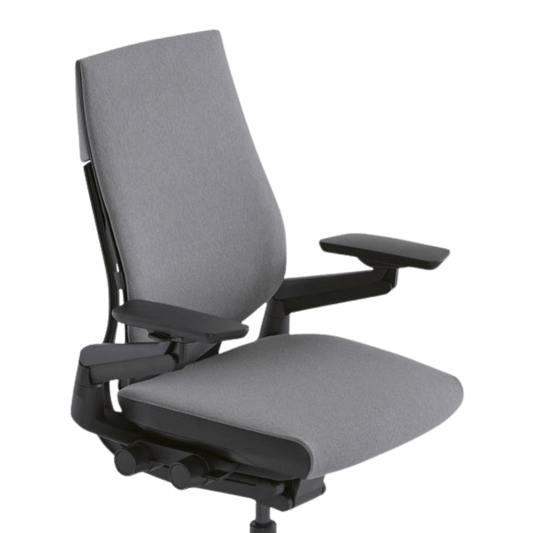 Steelcase Gesture Ergonomic Executive Office Chair with Adjustable Lumbar (Gray Cloth/Gray Merle) - Best Deal Office Furniture & Apple StoreLas_Vegas